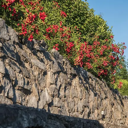 Kuca Dragovic Voljevci